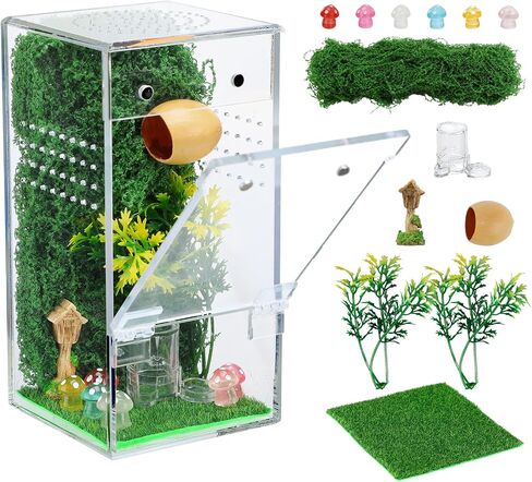 Escape-Proof One-Piece Jumping Spider Enclosure Accessories, Terrarium Kit in Saudi Arabia