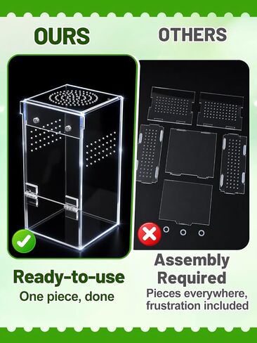 Escape-Proof One-Piece Jumping Spider Enclosure Accessories, Terrarium Kit in Saudi Arabia
