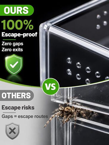 Escape-Proof One-Piece Jumping Spider Enclosure Accessories, Terrarium Kit in Saudi Arabia