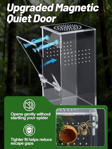 Escape-Proof One-Piece Jumping Spider Enclosure Accessories, Terrarium Kit in Saudi Arabia
