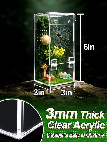 Escape-Proof One-Piece Jumping Spider Enclosure Accessories, Terrarium Kit in Saudi Arabia