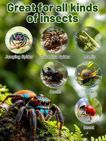 Escape-Proof One-Piece Jumping Spider Enclosure Accessories, Terrarium Kit in Saudi Arabia