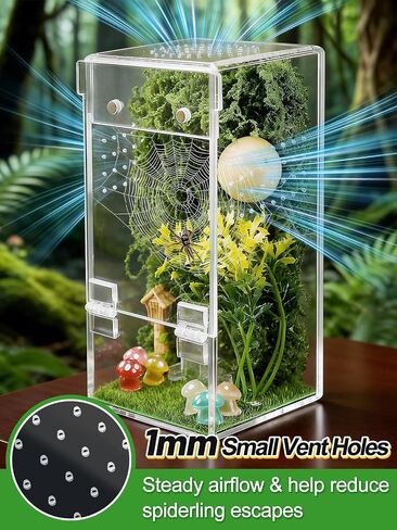 Escape-Proof One-Piece Jumping Spider Enclosure Accessories, Terrarium Kit in Saudi Arabia