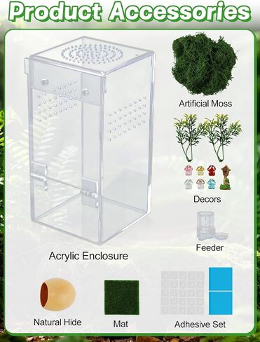 Escape-Proof One-Piece Jumping Spider Enclosure Accessories, Terrarium Kit in Saudi Arabia