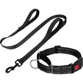 FunTags Martingale Dog Collar and Leash Set for Medium Dogs, Locking Buckle in Kuwait