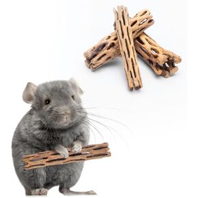 SubstrateSource Natural Cholla Wood - Driftwood for Aquariums, Air Plant Base, Hermit Crab and Freshwater Shrimp Hideout, Fish Tank Decoration, Chinchilla Chews, Reptile Habitat Wood - 6 Inch, 2pc in Kuwait