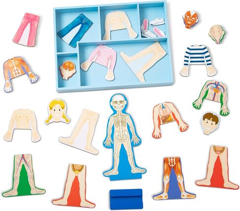 Melissa & Doug Magnetic Human Body Anatomy Play Set With 24 Magnetic Pieces and Storage Tray in Kuwait