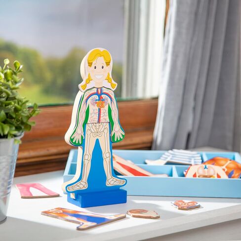 Melissa & Doug Magnetic Human Body Anatomy Play Set With 24 Magnetic Pieces and Storage Tray in Kuwait
