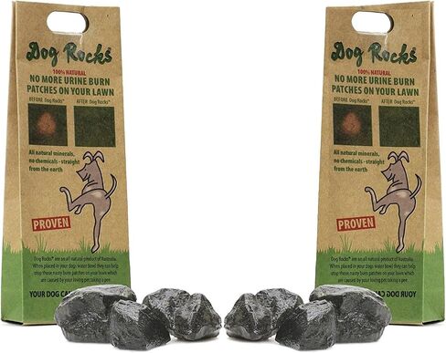 Dog Rocks for Urine Burning Grass - 200g Each - Natural Pet Rock to Help Maintain Green Lawn - Grass Savers for Dog Urine - 4 Month Supply for Use in Water Bowls or Yard (Pack of 2) in Kuwait