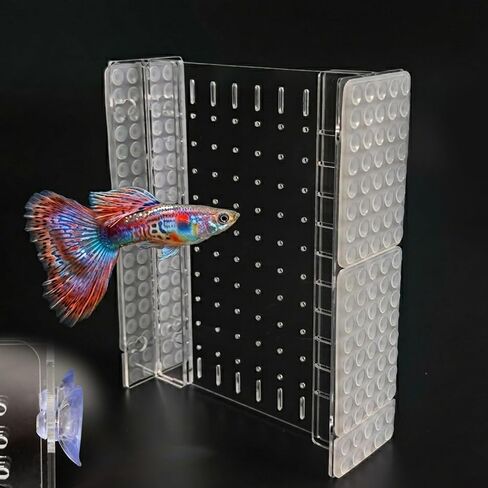 Fish Tank Separator 5 Gal, Acrylic Aquarium Divider with Suction Cups in Kuwait