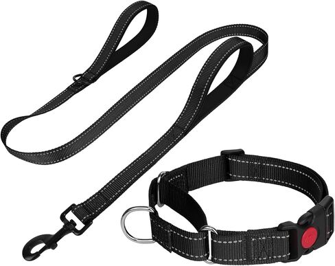 FunTags Martingale Dog Collar and Leash Set for Medium Dogs, Locking Buckle in Kuwait