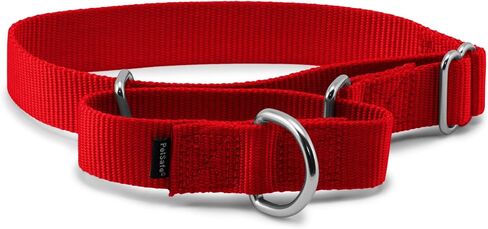 PetSafe Martingale Dog Collar, Deep Purple, 3/4 in, Small in Saudi Arabia