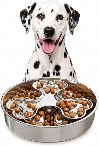 Kactoily 304 Stainless Steel Slow Feeder Dog Bowls, 2.5 Cups Capacity in Saudi Arabia