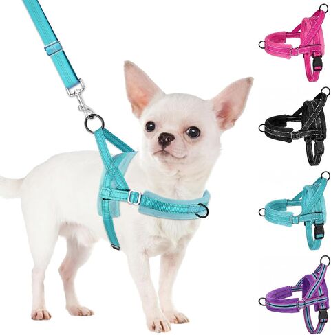 SlowTon No Pull Small Dog Harness and Leash Set with Front Clip in Saudi Arabia