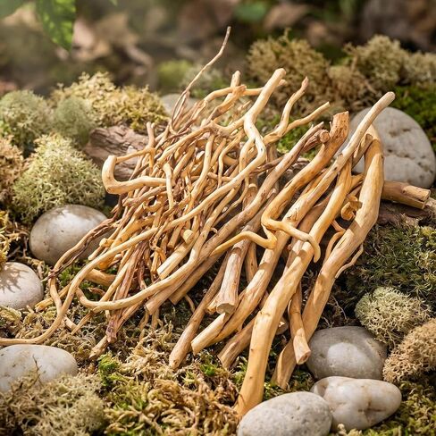 200g Natural Driftwood for Aquarium 7''-16'' Reptile Branches Terrarium Wood Long Driftwood for Aquarium Assorted Shapes Natural Decor Azalea Rhododendron Root in Kuwait