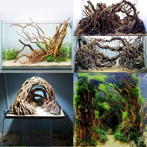 200g Natural Driftwood for Aquarium 7''-16'' Reptile Branches Terrarium Wood Long Driftwood for Aquarium Assorted Shapes Natural Decor Azalea Rhododendron Root in Kuwait