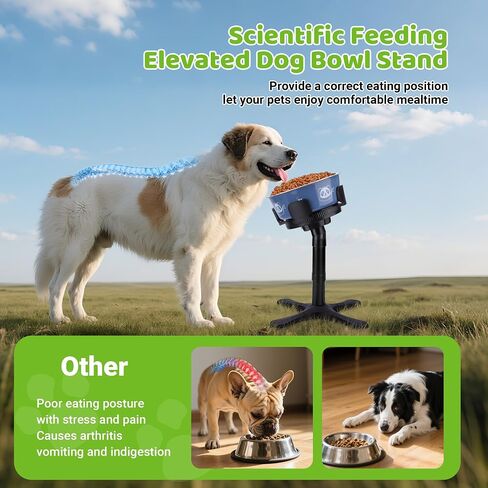 Dog Bowls Elevated Adjustable Stand, Raised Bowl with 3 Heights & Tilted Feeding Stand, Compatible with Various Bowls, for Medium & Large Breeds (1 Pack) Black in Saudi Arabia