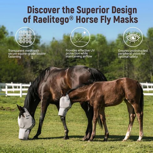 Raelitego Horse Fly Mask with Ears no Nose, Breathable Mesh UV Protect (L) in Kuwait