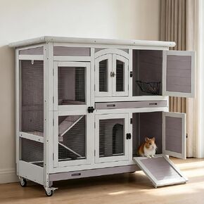 44" L Large Two-Tier Guinea Pig Cages with Anti-Chew Ramp in Kuwait