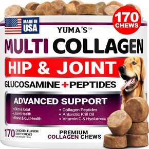 YUMA'S Glucosamine for Dogs - 240 Chews - Hip & Joint Supplement for Dogs in Kuwait