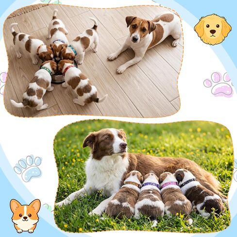 12 Pack Puppy Collars for Litter, Adjustable Puppy ID Collars, Dinosaur in Saudi Arabia