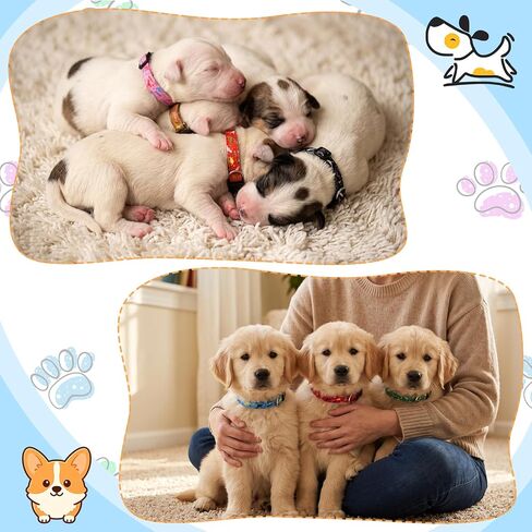12 Pack Puppy Collars for Litter, Adjustable Puppy ID Collars, Dinosaur in Saudi Arabia