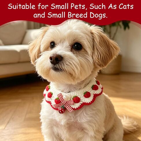 Cat Breakaway Collar - Adjustable 2-3 Inch Cat Bandana in Saudi Arabia