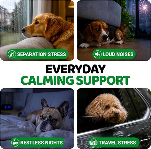 Hemp Calming Chews for Dogs - 170 Treats - Advanced Dog Calming Chews in Kuwait