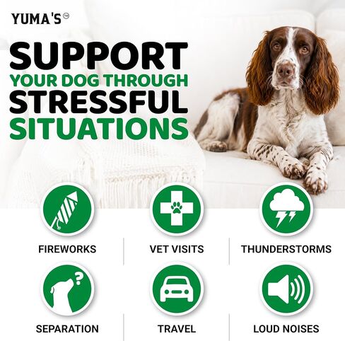 Hemp Calming Chews for Dogs - 170 Treats - Advanced Dog Calming Chews in Kuwait