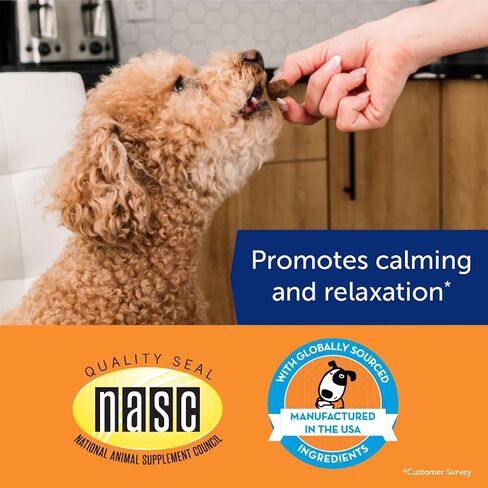 ThunderBites Hemp Calming Chews For Dogs, 60 Count in Kuwait