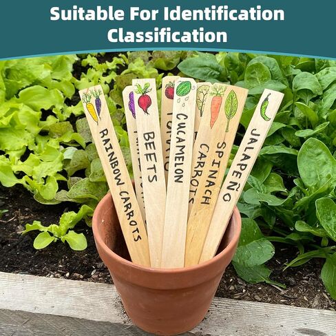WISYOK 15 Pack 12 Inch Paint Stir Sticks, Wooden in Kuwait