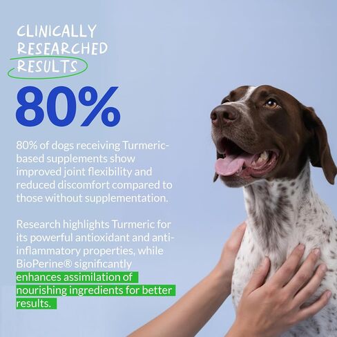 Turmeric for Dogs - Natural Anti-Inflammatory & Pain Relief, 120 ct in Kuwait