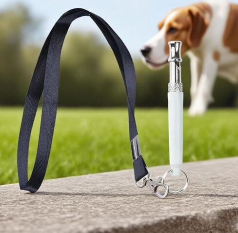 2 Pack Dog Whistle for Recall Training with Lanyard Frequency Adjustable Metal Training Whistle for Puppies Pet Communication Supplies Daily Exercise Outdoor Activity Tool Kit in Kuwait