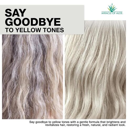Softly Silver Gray Hair Shampoo/Conditioner, 8 oz bottle in Kuwait