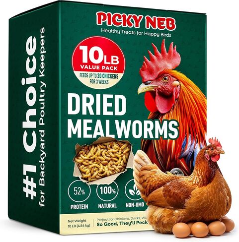 PICKY NEB 10 lbs 100% Non-GMO Dried Mealworms - Whole Large Meal Worms Bulk - High-Protein Treats Perfect for Your Chickens, Ducks, Wild Birds in Kuwait