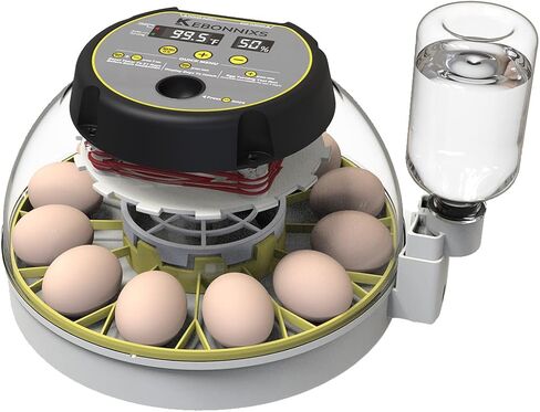 KEBONNIXS 12 Egg Incubator with Humidity Display, Egg Candler, Automatic Egg Turner, for Hatching Chickens in Saudi Arabia