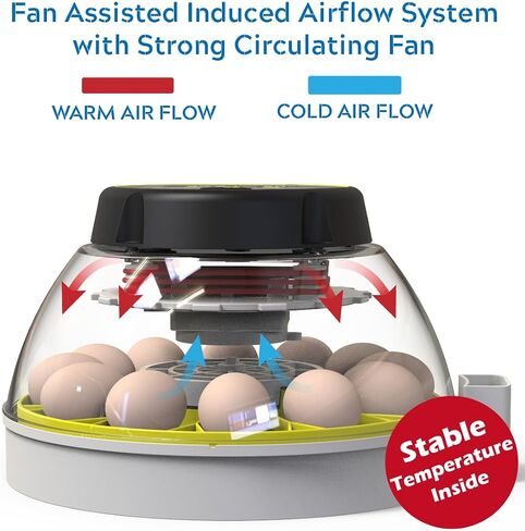 KEBONNIXS 12 Egg Incubator with Humidity Display, Egg Candler, Automatic Egg Turner, for Hatching Chickens in Saudi Arabia