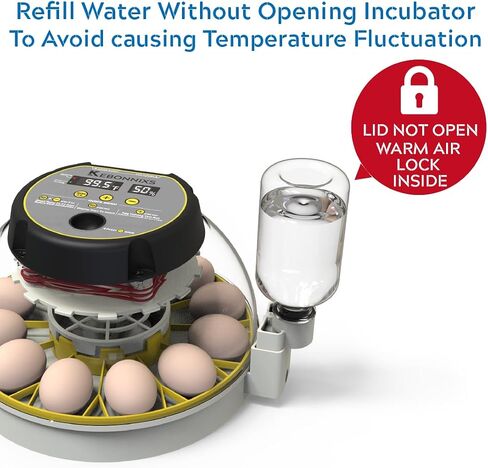 KEBONNIXS 12 Egg Incubator with Humidity Display, Egg Candler, Automatic Egg Turner, for Hatching Chickens in Saudi Arabia