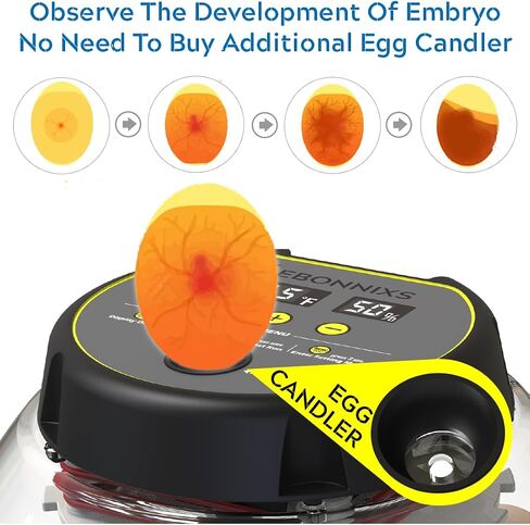 KEBONNIXS 12 Egg Incubator with Humidity Display, Egg Candler, Automatic Egg Turner, for Hatching Chickens in Saudi Arabia