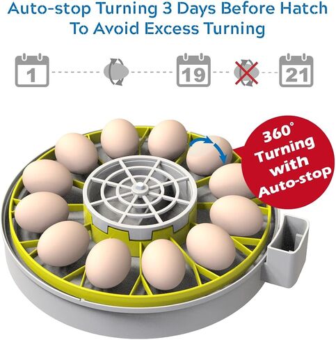 KEBONNIXS 12 Egg Incubator with Humidity Display, Egg Candler, Automatic Egg Turner, for Hatching Chickens in Saudi Arabia