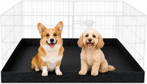 PEEKABOO Square Dog Playpen Bottom Pad for 8-Panel Pens, 48 x 48 in in Kuwait