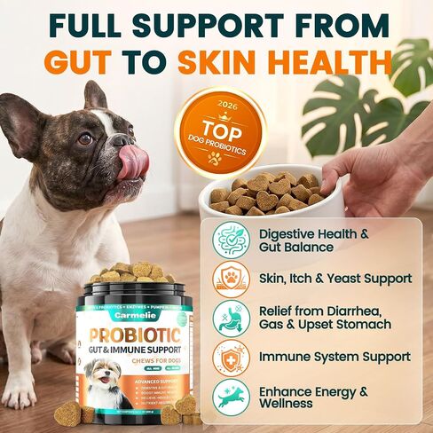 Probiotics for Dogs Yeast, Gut Health for Digestive Enzymes 200ct in Saudi Arabia
