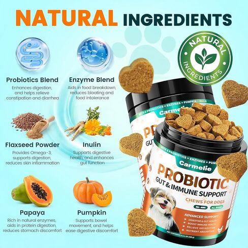 Probiotics for Dogs Yeast, Gut Health for Digestive Enzymes 200ct in Saudi Arabia