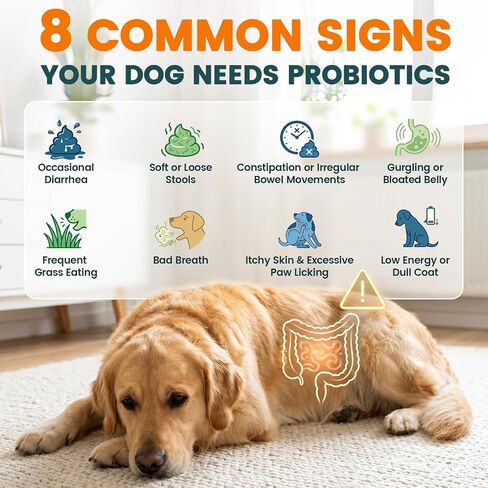 Probiotics for Dogs Yeast, Gut Health for Digestive Enzymes 200ct in Saudi Arabia