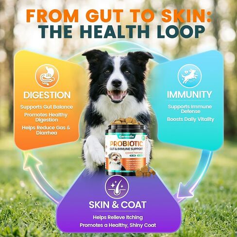 Probiotics for Dogs Yeast, Gut Health for Digestive Enzymes 200ct in Saudi Arabia