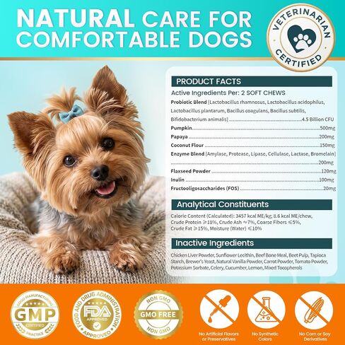 Probiotics for Dogs Yeast, Gut Health for Digestive Enzymes 200ct in Saudi Arabia