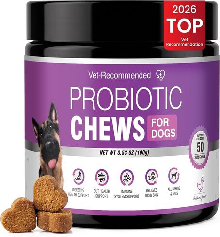 Probiotics for Dogs Dog Probiotics for Digestive Health Probiotic for Dogs Gut Health Itchy Skin Dog Probiotics for Diarrhea Dog Constipation Relief Gas for Dogs Immune Support Chicken Flavor 50ct in Saudi Arabia