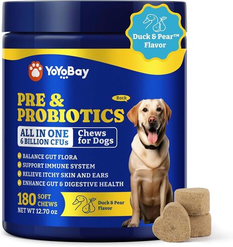 Probiotics for Dogs, Dog Gut, Immune & Skin Health Support Supplement in Saudi Arabia