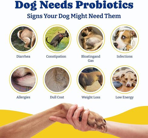 Probiotics for Dogs, Dog Gut, Immune & Skin Health Support Supplement in Kuwait