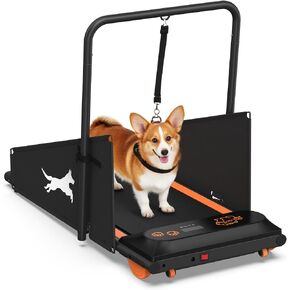 Dog Treadmill, Pet Running Machine for Small & Medium Dogs, Remote Control in Saudi Arabia